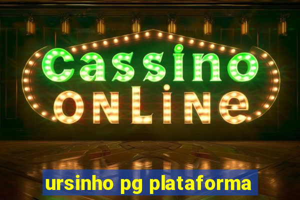 ursinho pg plataforma